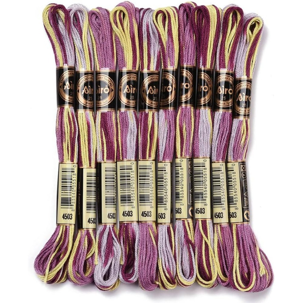 Embroidery Floss Thread - Fil à broder panaché violet, 6
